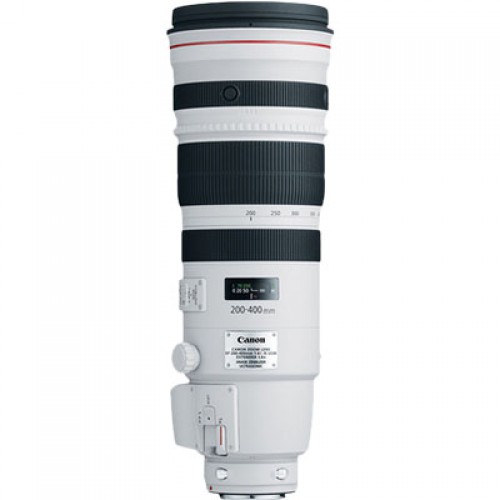 【台佳公司貨】Canon EF 200-400mm F4 L IS USM Extender 1.4x 遠攝 變焦